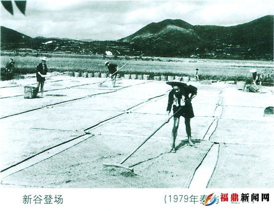 新谷登場（79年秦嶼·巨口）.jpg