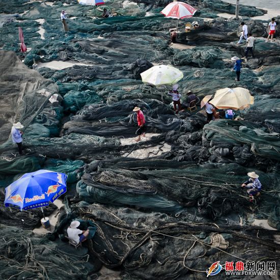 4沿海漁村時常能看到專心修補漁網的漁民。.JPG