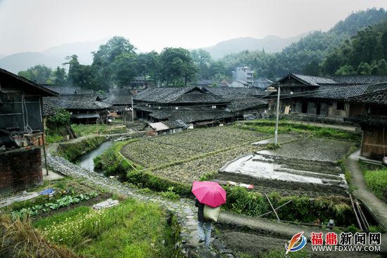 中國傳統(tǒng)村落、省級(jí)歷史文化名村仙蒲村 吳維泉攝.JPG