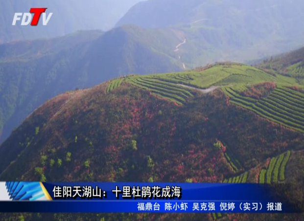 佳陽(yáng)天湖山：十里杜鵑花成海