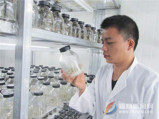 王孝鏞：奮斗在夢想的路上