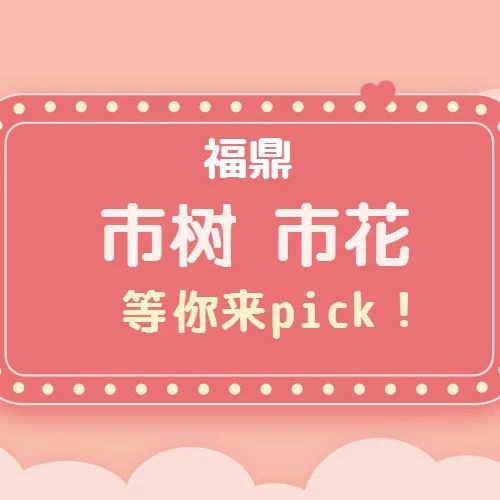 福鼎“市樹、市花”投票開始啦！快來pick你心中的NO.1吧！