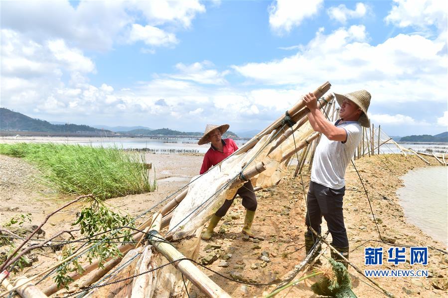 福建福鼎：臺風過后 忙自救