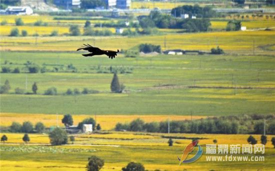 穿越稻田與山峰 來趟“曬”秋之旅