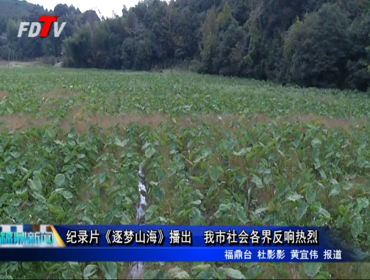 紀(jì)錄片《逐夢山海》播出  我市社會各界反響熱烈