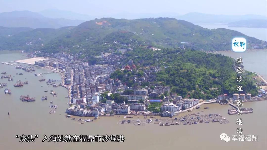 【視野】藍色沙埕 魅力港灣