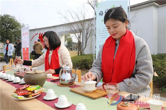 點(diǎn)頭鎮(zhèn)2019“白茶小鎮(zhèn)、魅力點(diǎn)頭” 攝影大賽啟動(dòng)