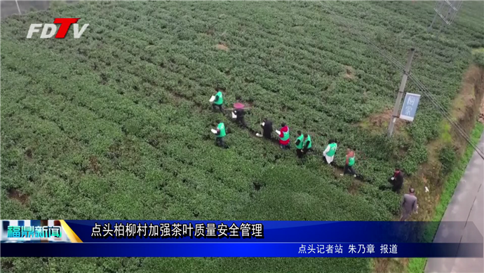 點頭柏柳村加強茶葉質(zhì)量安全管理