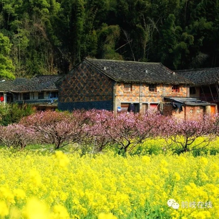 春暖花開，踏青出游？去照瀾吧！有驚喜……