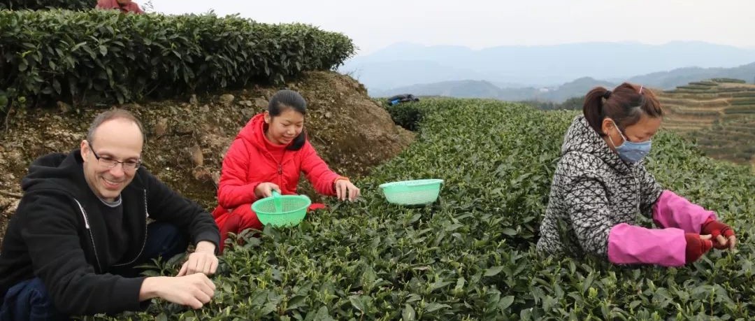 John Smagula首游福鼎，揭秘外國(guó)人如何看福鼎白茶