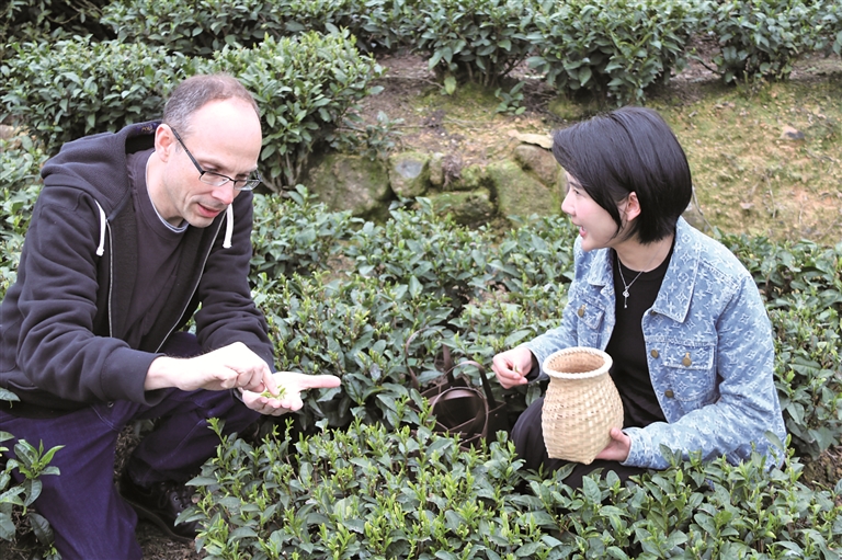 “老外”John Smagula看福鼎白茶