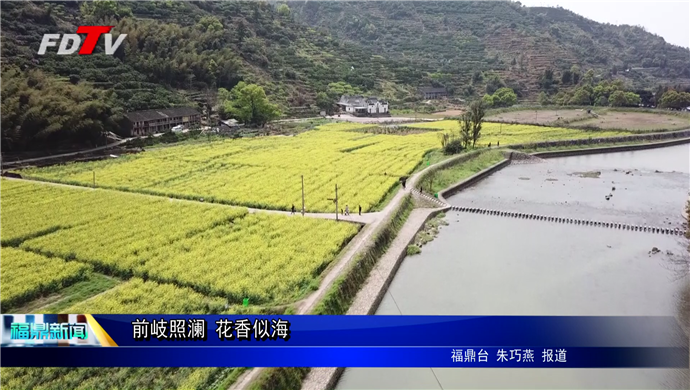 前岐照瀾 花香似海