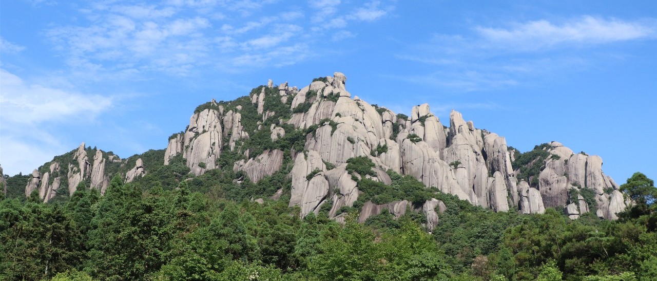 閩東之光·文韻太姥丨首日采風(fēng)結(jié)束，名山名茶與名家來(lái)了“歷史性會(huì)晤”