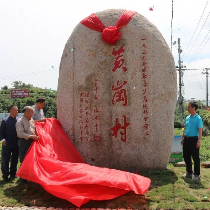 1959~2019，全國(guó)茶葉生產(chǎn)現(xiàn)場(chǎng)會(huì)在福鼎召開(kāi)60周年了！