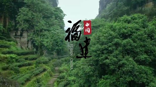 福建：擦亮生態(tài)底色 成就綠色福地