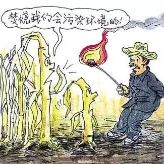 自行焚燒垃圾、秸稈危害這么多……