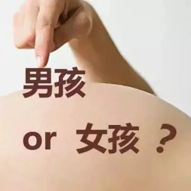 B超鑒定胎兒性別？福鼎準(zhǔn)媽媽打了個(gè)電話過(guò)去，結(jié)果……