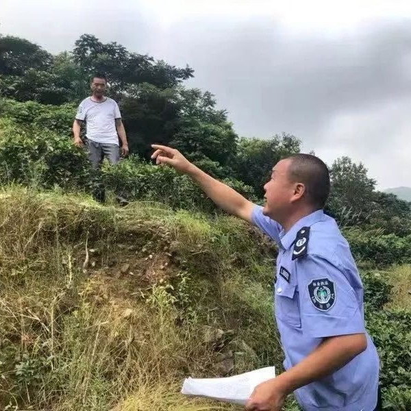 佳陽：常態(tài)化巡山管控源頭，強化破壞森林資源行為的打擊力度