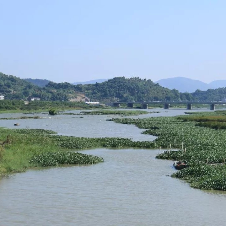 雙岳溪防洪堤預(yù)計(jì)年底竣工，它可以……