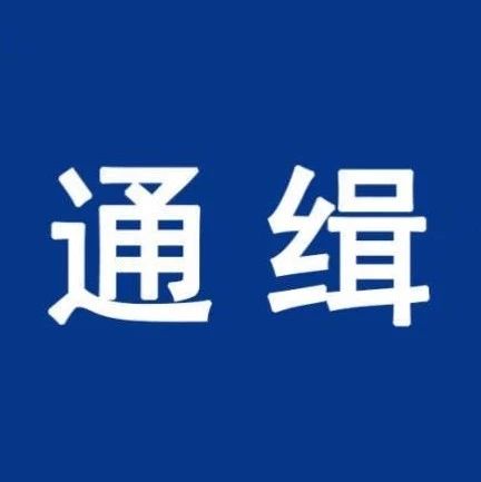 注意！公安部發(fā)布A級(jí)通緝令，每人懸賞10萬(wàn)元！