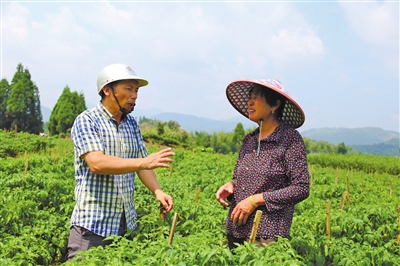 鄉(xiāng)村振興“排頭兵” 注入發(fā)展驅動力