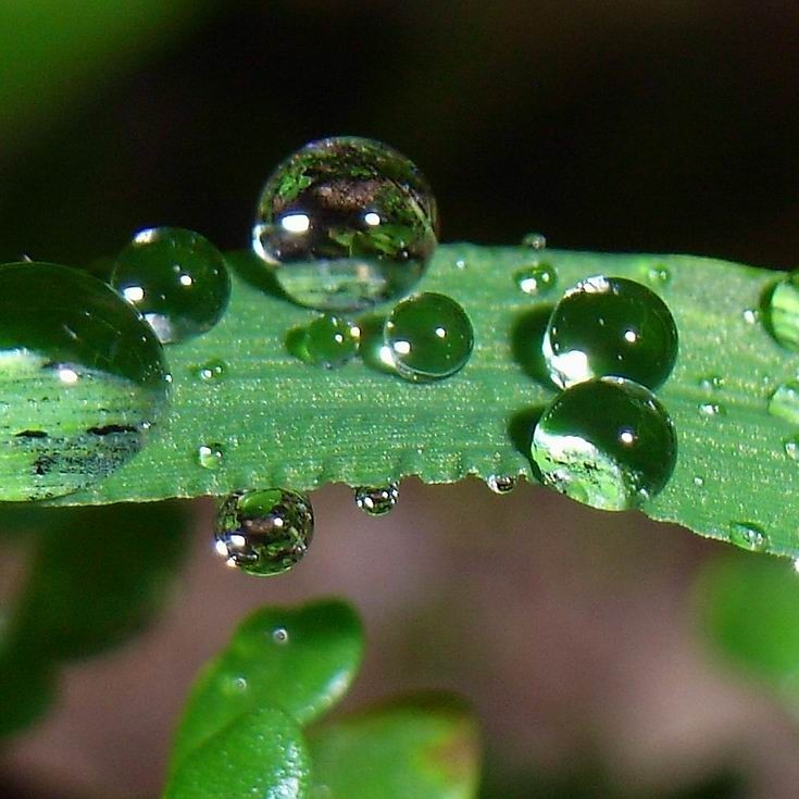 剛剛發(fā)布！未來三天！繼續(xù)人工增雨！