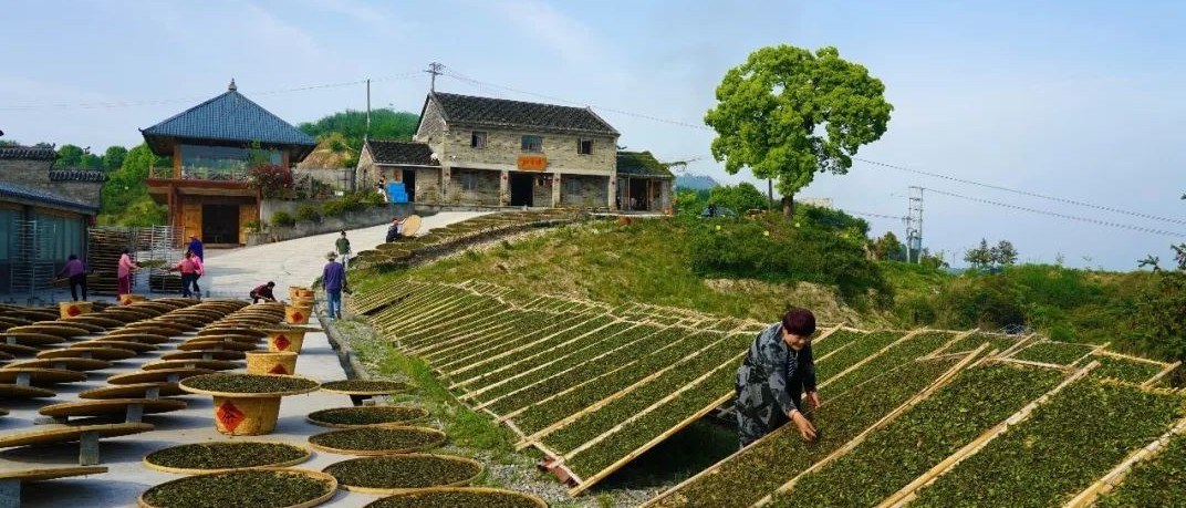 是心動啊~這把生態(tài)之匙，打開了鄉(xiāng)村振興的心房