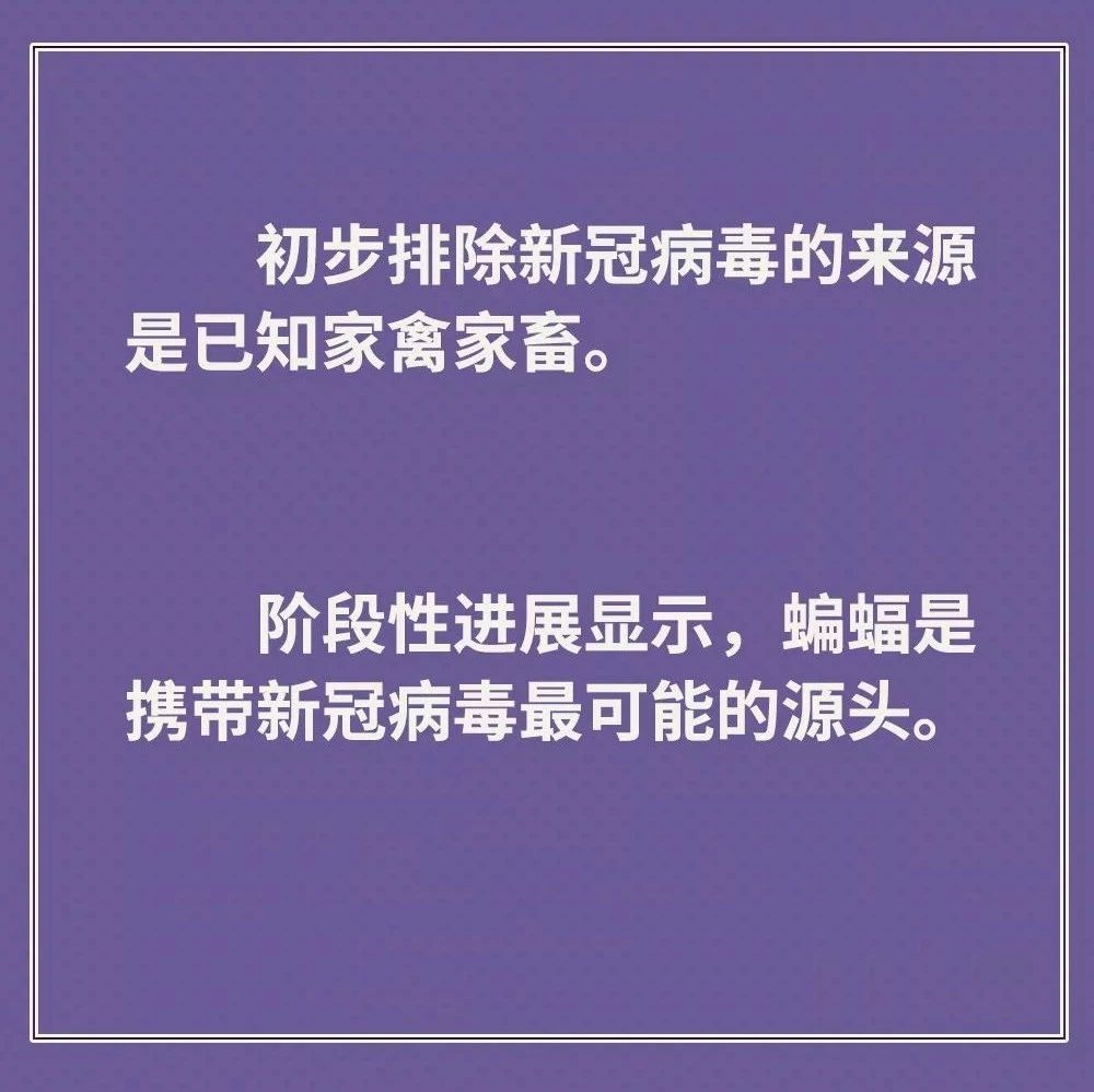 雞鴨會(huì)傳播病毒？疫苗研究得怎樣？抗疫最新信息，你要知道