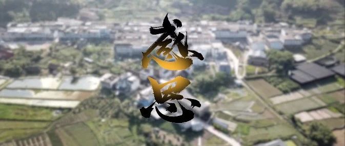 感恩回報(bào)！“中國(guó)扶貧第一村”赤溪村干群為前線(xiàn)醫(yī)護(hù)人員獻(xiàn)愛(ài)心