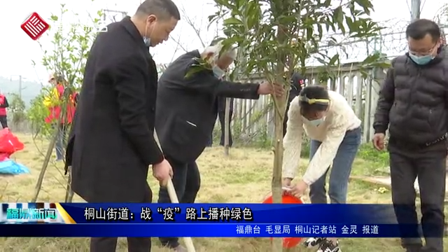 桐山街道：戰(zhàn)“疫”路上播種綠色