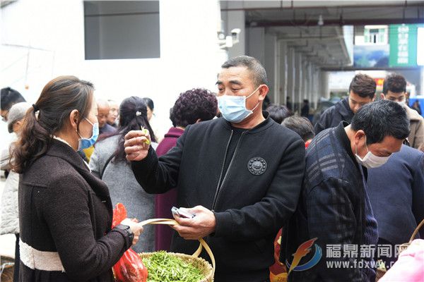 閩浙邊界地區(qū)最大的白茶交易市場(chǎng)開市