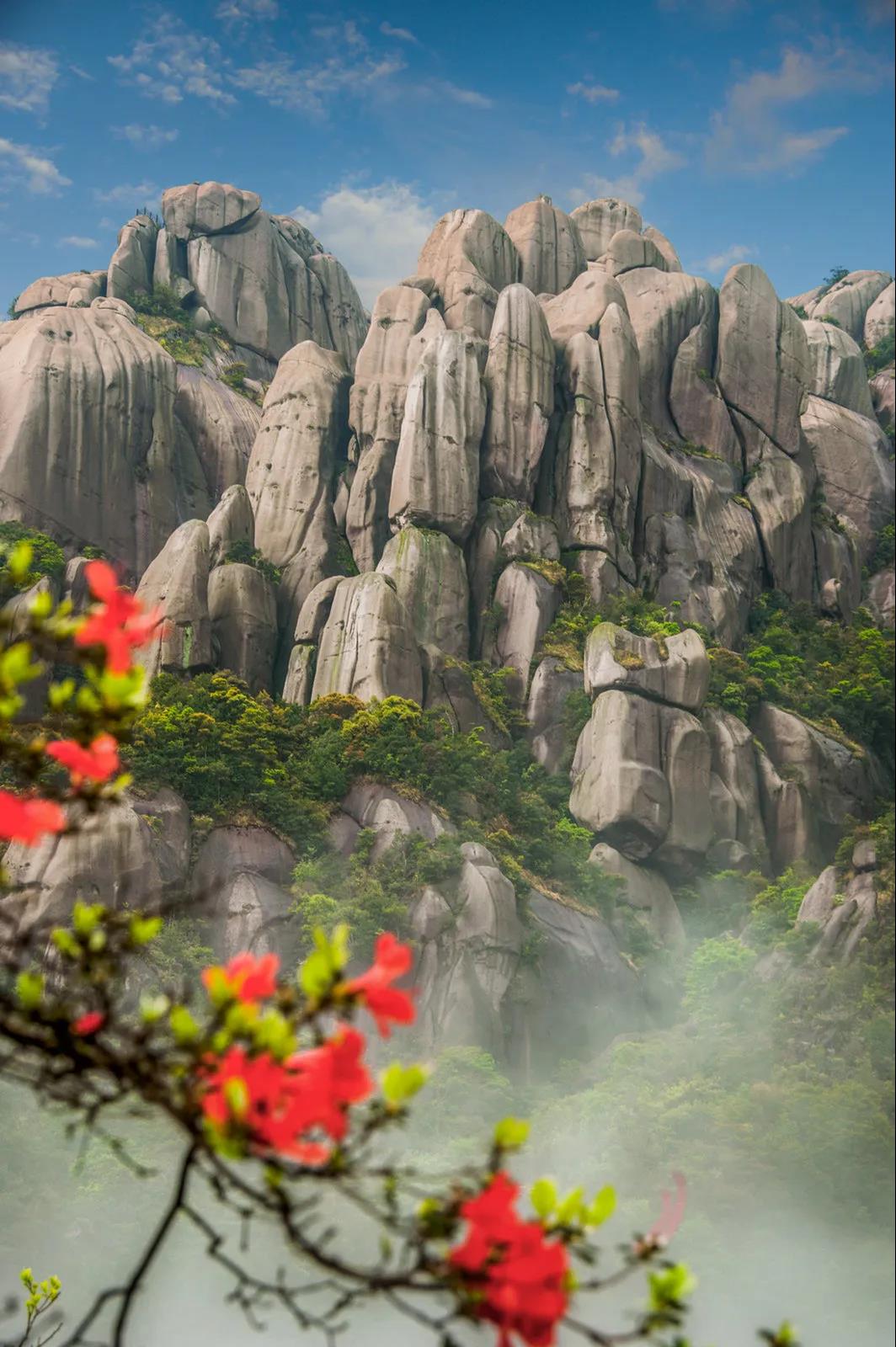 太姥山、崳山、赤溪景區(qū)3月21日起恢復(fù)開園，全國(guó)游客享受門票半價(jià)！