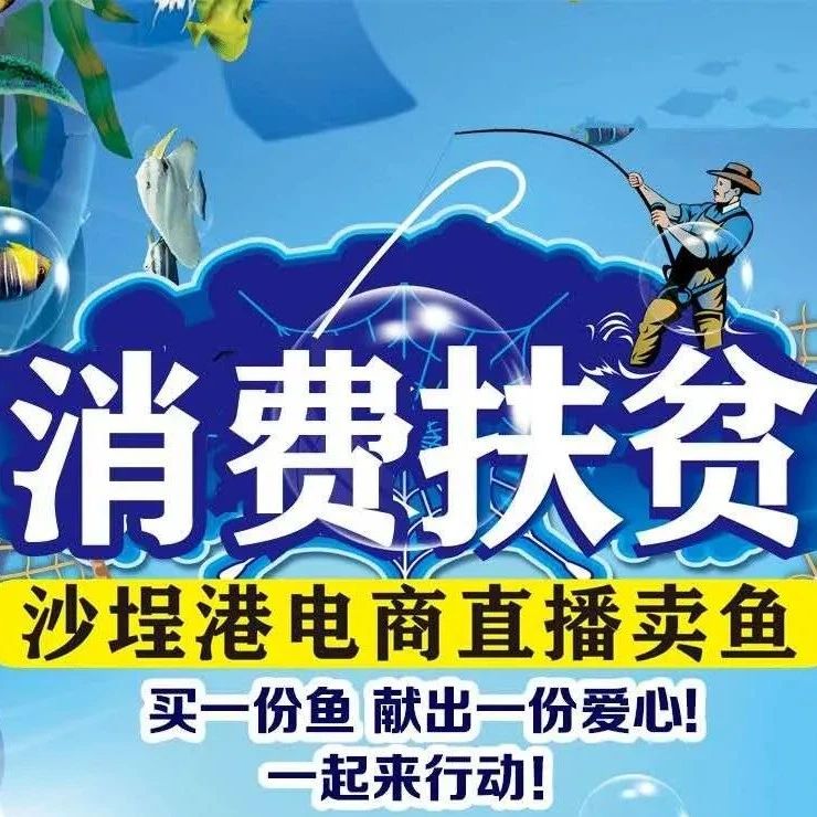 “魚(yú)”你相約明天下午3點(diǎn)！沙埕港電商直播賣魚(yú)啦