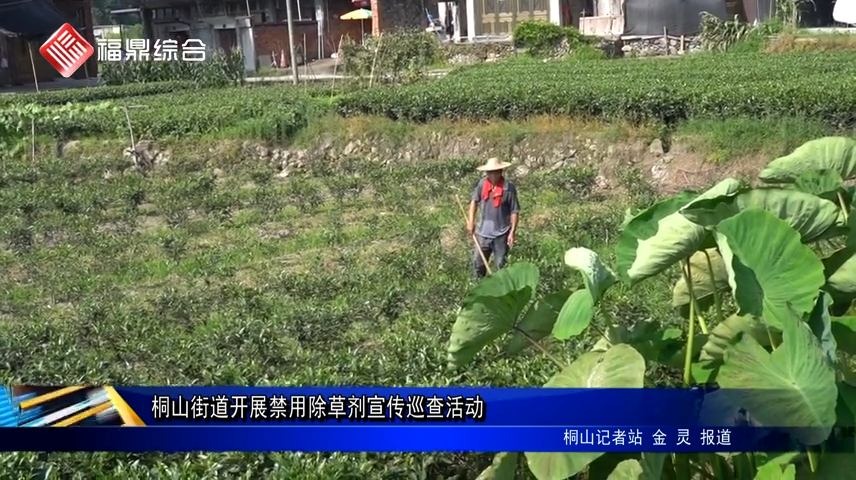 桐山街道開展禁用除草劑宣傳巡查活動