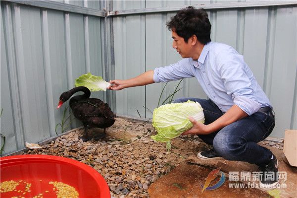 寧德市首家野生動物救助站在鼎落戶