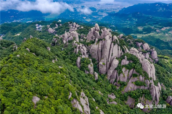 央視“尋根太姥山”，探秘福鼎白茶之源（附視頻）