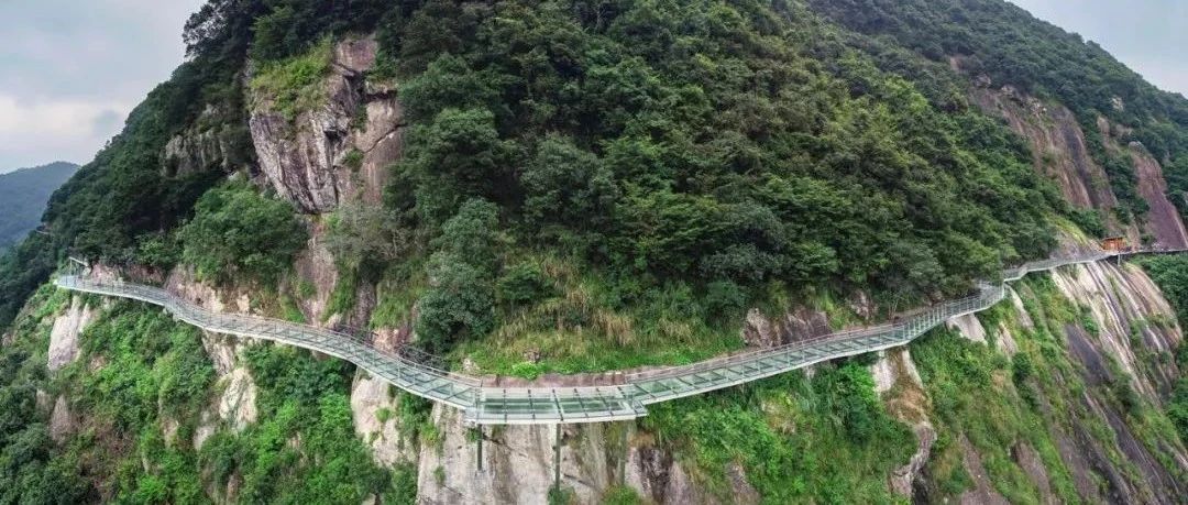 福鼎被國務(wù)院扶貧辦確定為首批全國脫貧攻堅(jiān)交流基地