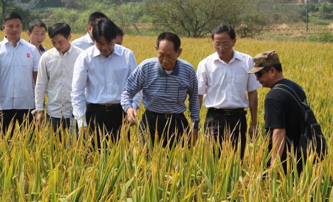 痛別！中國“雜交水稻之父”袁隆平逝世