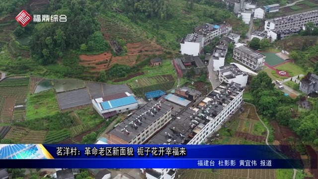 茗洋村：革命老區(qū)新面貌 梔子花開(kāi)幸福來(lái)