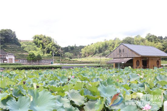 柏柳村：美麗庭院點(diǎn)“靚”鄉(xiāng)村幸福生活