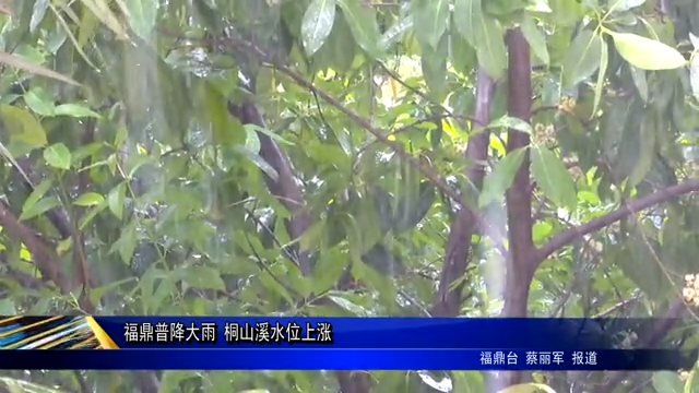 福鼎普降大雨 桐山溪水位上漲