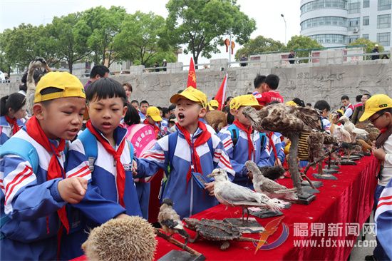 福鼎兩項志愿服務項目榮獲省級獎項