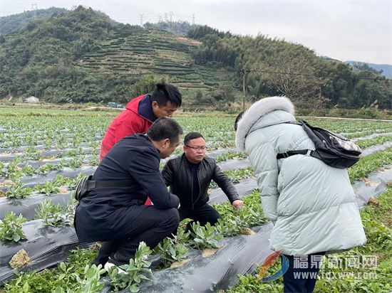 200多名農技人員“下沉”一線 指導做好防寒防凍工作