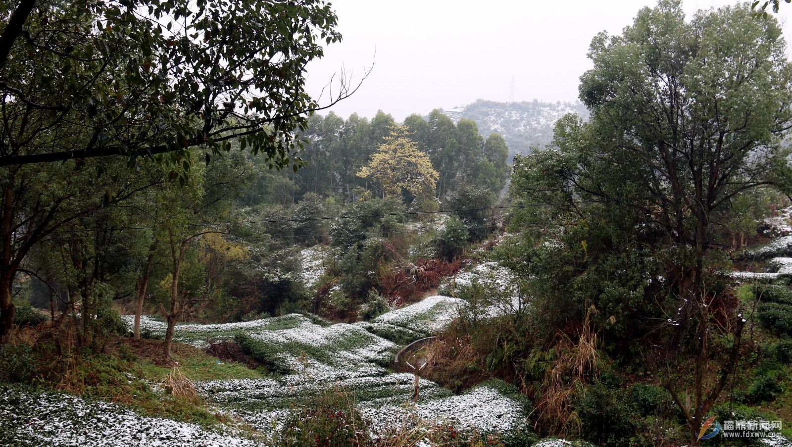 山上下雪山下降雨 太陽(yáng)閣賞雪正當(dāng)時(shí)