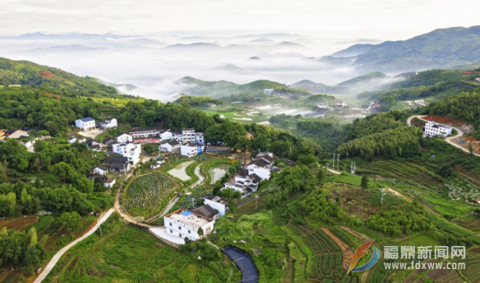 佳山村：厚植“紅色”底蘊(yùn) 激發(fā)鄉(xiāng)村活力