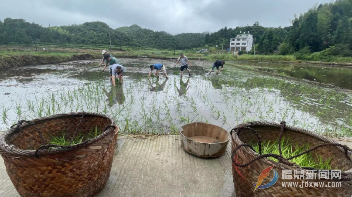 返鄉(xiāng)黨員挑起種糧“大梁”