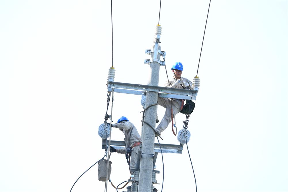 市供電公司：帶電作業(yè)戰(zhàn)高溫 迎峰度夏護(hù)清涼