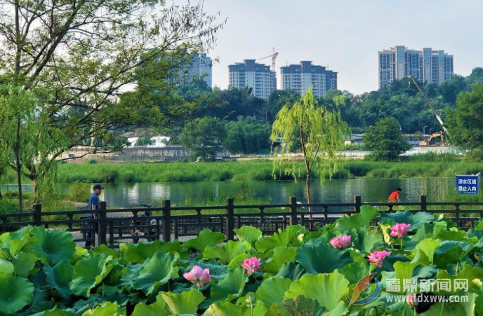 文明有序逛公園 守住文明風景線