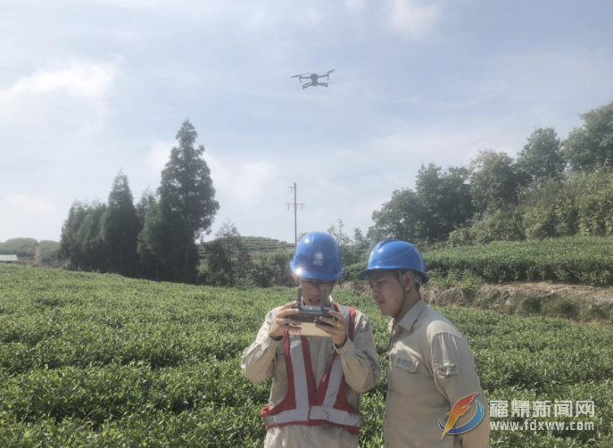 市供電公司：無人機(jī)精準(zhǔn)巡查 助力迎峰度夏