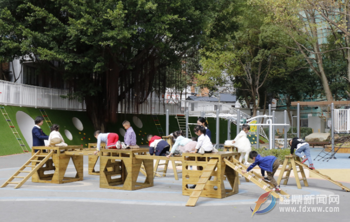 福鼎實(shí)驗(yàn)幼兒園教師熱議黨的二十大報(bào)告